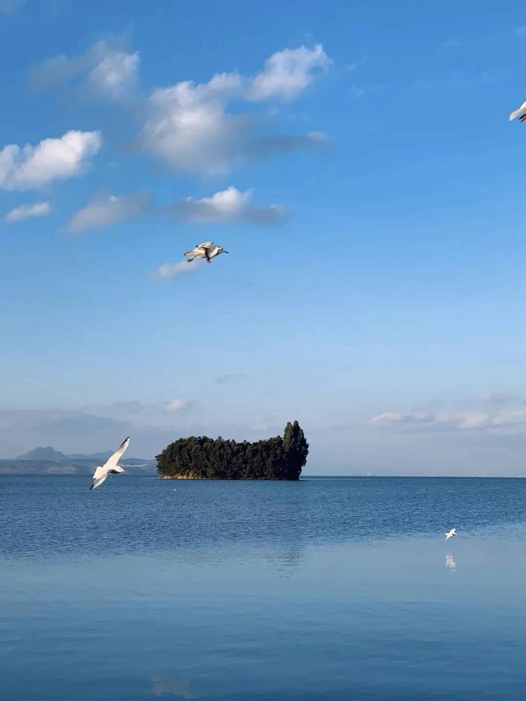 校园风光